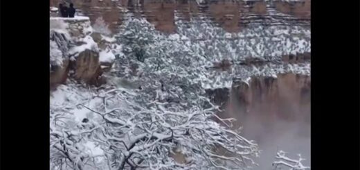 Grand Canyon Snow